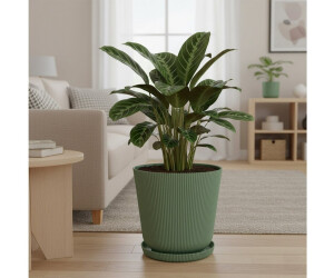 Relaxdays Blumentopf-Set mit Untersetzer, Kunststoff, salbeigrün, 20x20cm, 2er-Set (10051851_8164) ab 10,99 € (Oktober 2026)