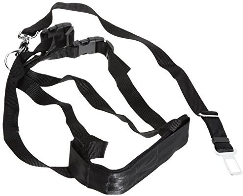 Maxi Pet Ceinture de sécurité 30-60 cm