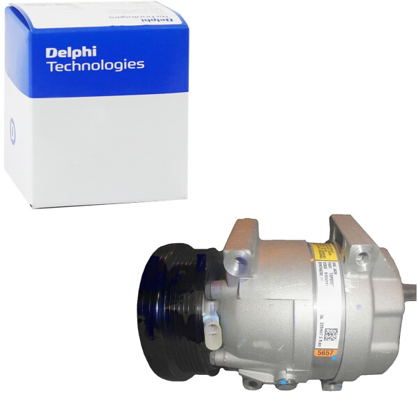 Delphi Klimakompressor Epica (KL1_) PAG 46 (TSP0155657), Bild 2