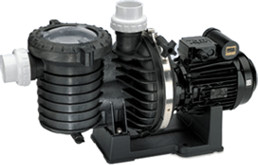 Pentair Sta-Rite 5P6R G-1 Standard (2cv 27m³/h Mono)