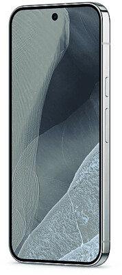 Google Pixel 11 Pro XL 256GB Fog, Bild 21