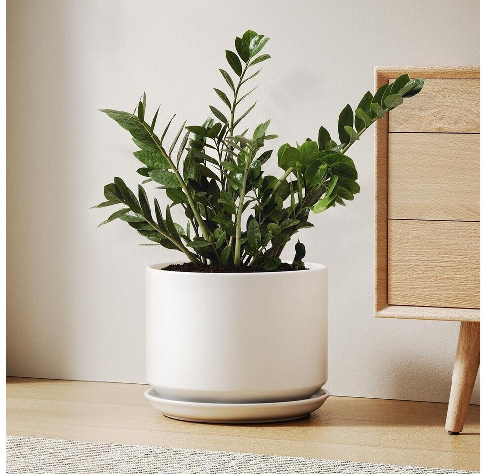 wohnungsdeko inspiration Abmessungen:Höhe 58 cm - Breite 26 cm - Schiefer 25 cm
