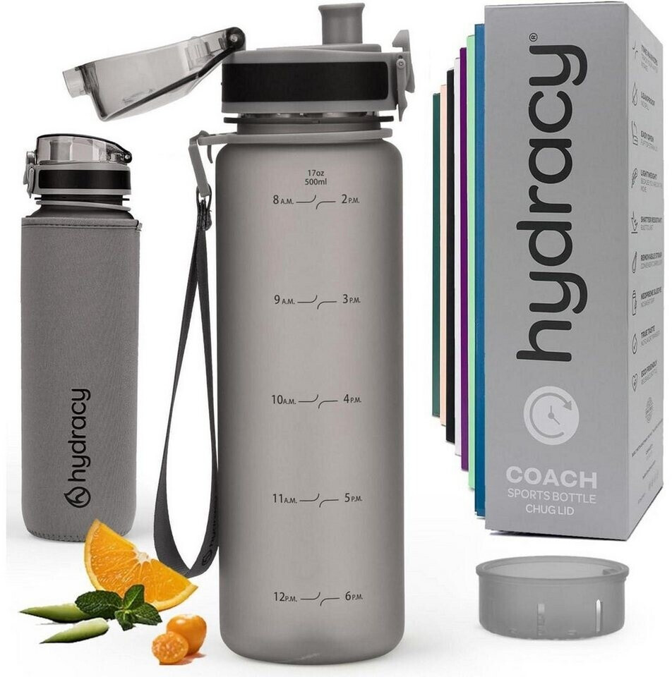 LuxusKollektion Trinkflasche mit Fruchteinsatz 500ml BPA-frei, silbergrau ab 50,99 € (Oktober 2026)