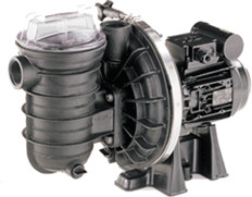 Pentair Sta-Rite S5P2R D-1 (0.75cv 12m³/h Mono)