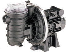 Pentair Sta-Rite S5P2R E-1 (1cv 15m³/h Mono)