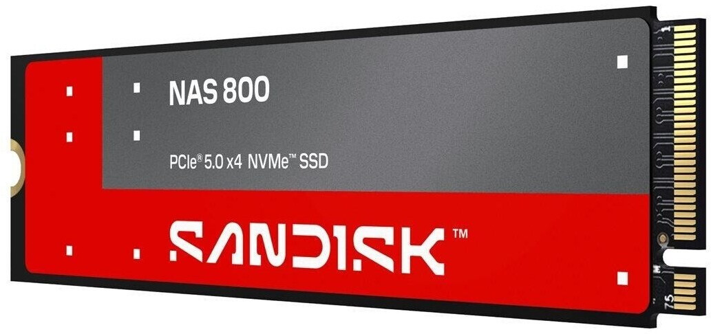 SanDisk NAS 800 960GB ab € 348,99 (Oktober 2026 Preise ...