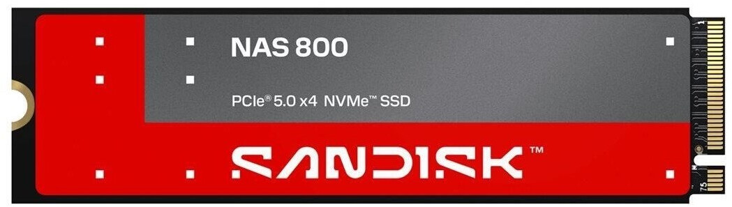 SanDisk NAS 800 960GB ab € 348,99 (Oktober 2026 Preise ...