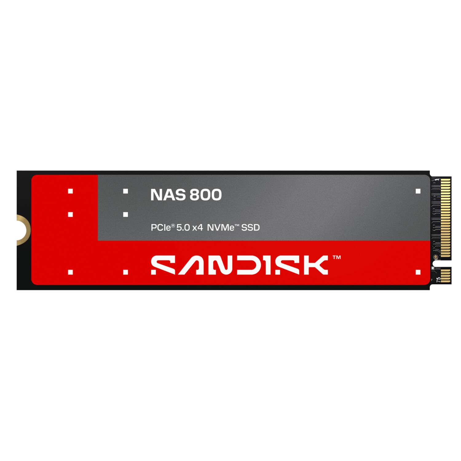SanDisk NAS 800 960GB ab € 348,99 (Oktober 2026 Preise ...
