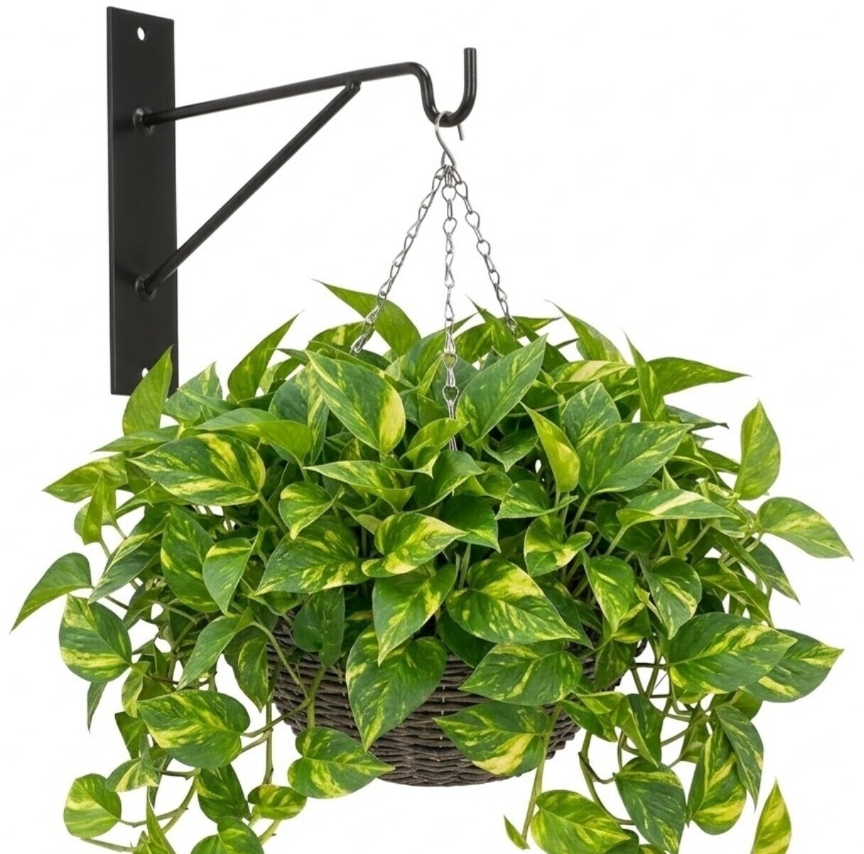 Esschert Haken für Blumentöpfe und Laternen, schwarz, 21cm (BPH124) ab 6,86 € (Oktober 2026)