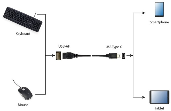 Gembird USB 2.0 OTG-Kabel USB-A Buchse auf Mini-USB-B Stecker, 0.15m (A-OTG-AFBM-002), Bild 2
