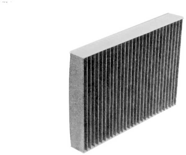 NTY Innenraumfilter Carbon für Renault Megane III, Scenic III, Trafic, Bild 2