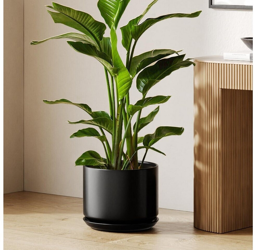 wandregal grün Landscape jetzt nur online ➤ Wohnzimmer mit viel DIY