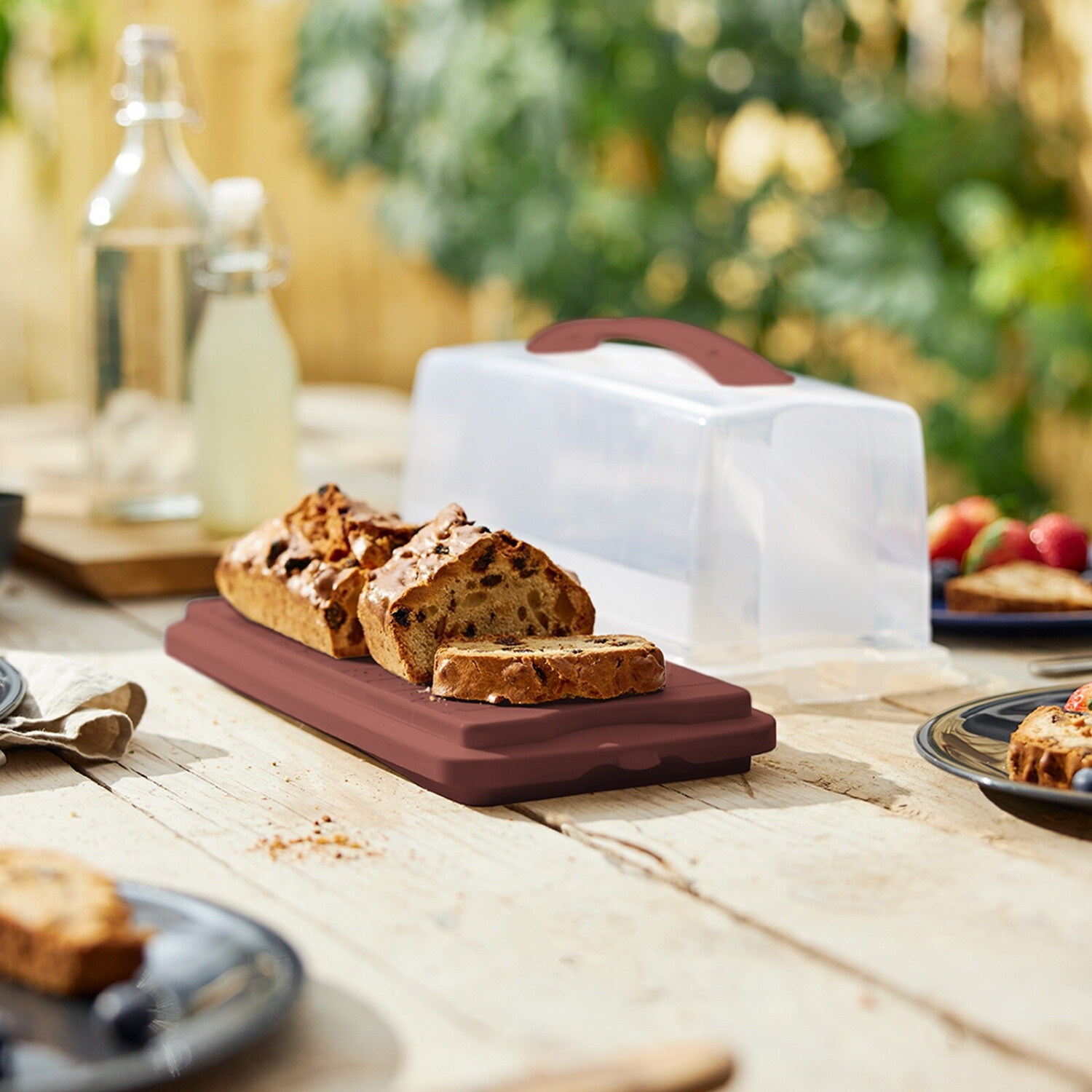 Rotho Fresh Kuchentransportbox rechteckig, grün, Kunststoff (1722505092) ab 7,19 € (Oktober 2026)
