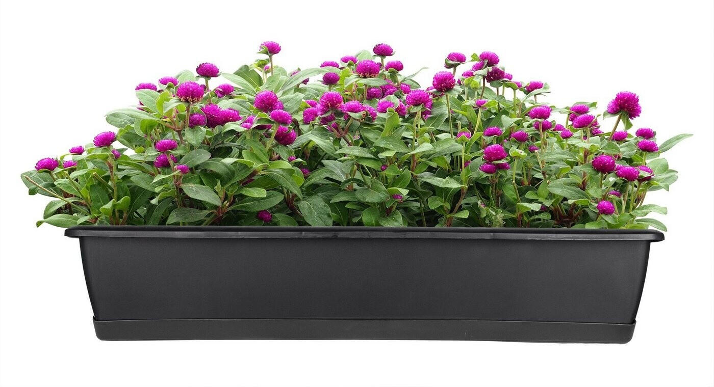 BigDean Blumenkasten schmal 80cm anthrazit, 2er-Set (795042) ab 20,99 € (Oktober 2026)