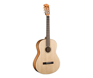 Fender esc80 price online