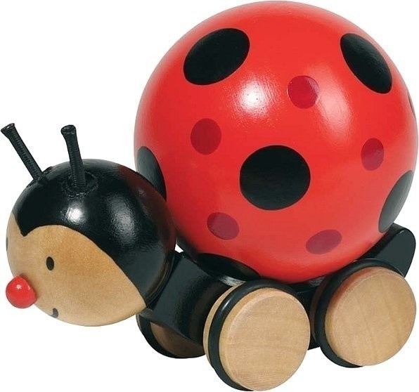 Goki Coccinelle à pousser