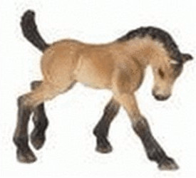 Bullyland Poulain Trakehner (62680)