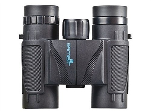 Gambit Shark 10x25