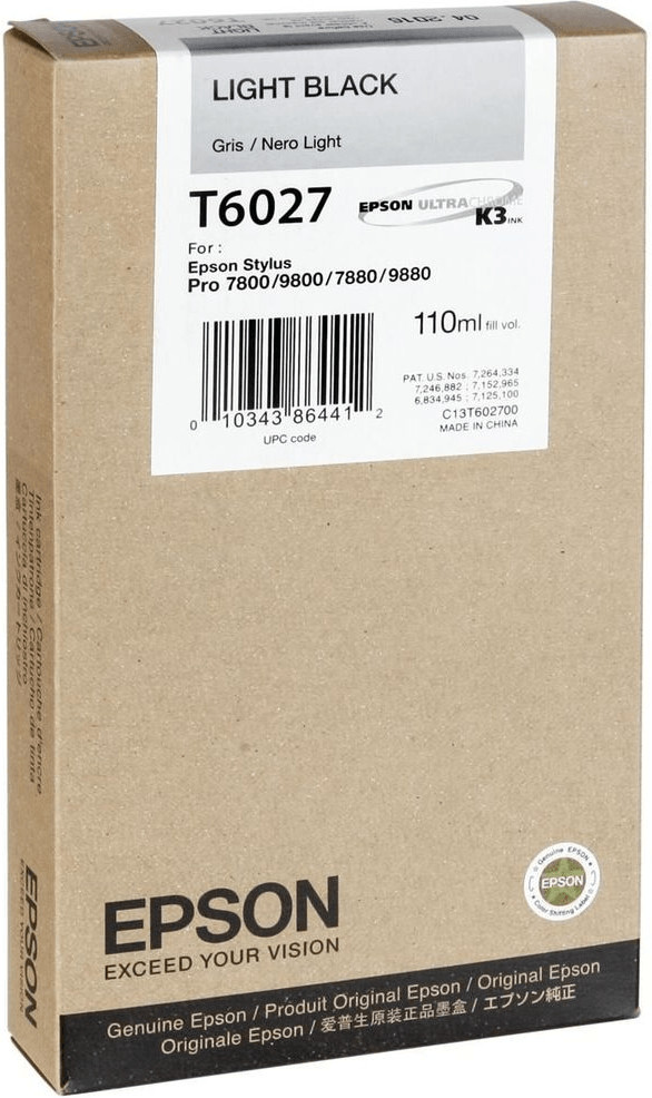 Epson T6027 noir clair