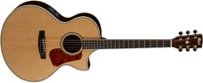 Cort NDX50