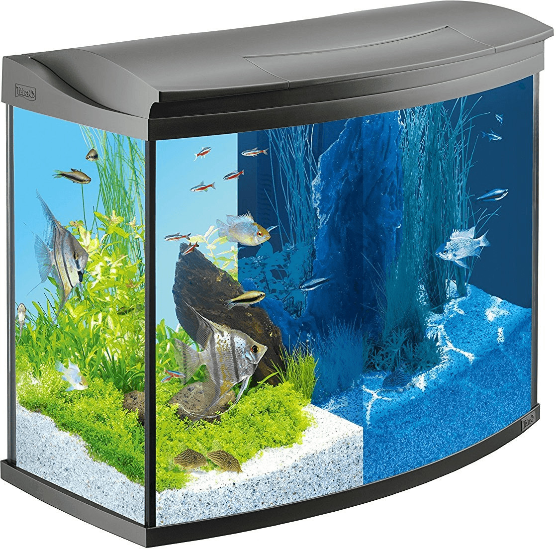 Tetra Kit aquarium AquaArt Evolution Line 130 l