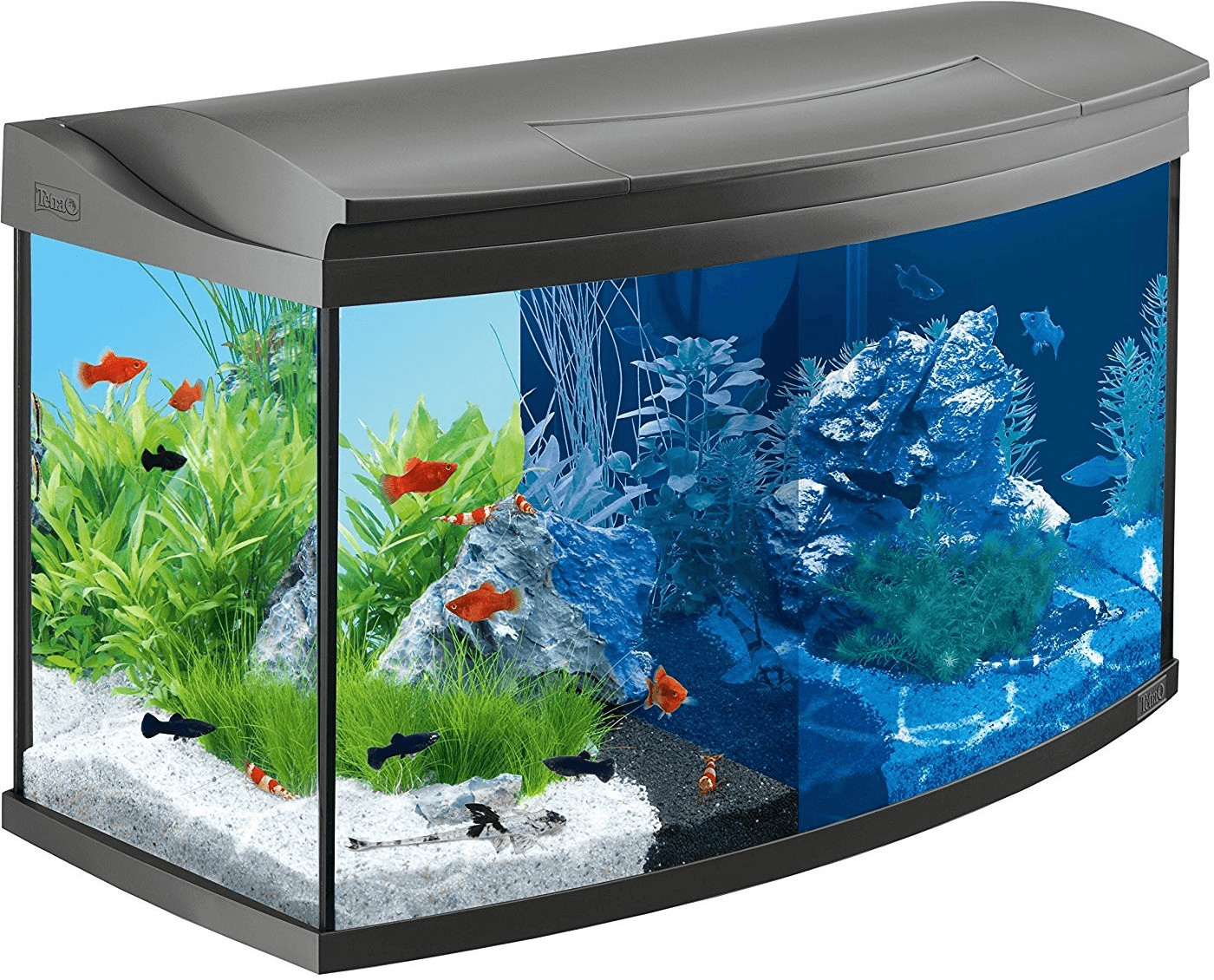 Tetra Kit aquarium AquaArt Evolution Line (100 l)