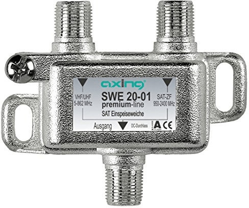 Axing SWE 20-01