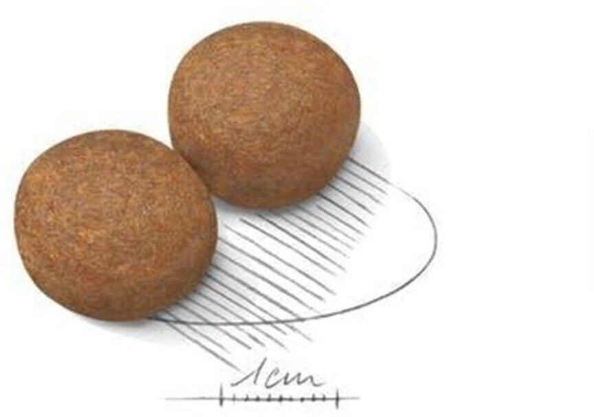 Royal Canin Croquettes pour chien 10 kg Royal Canin Croquettes pour chien 10 kg