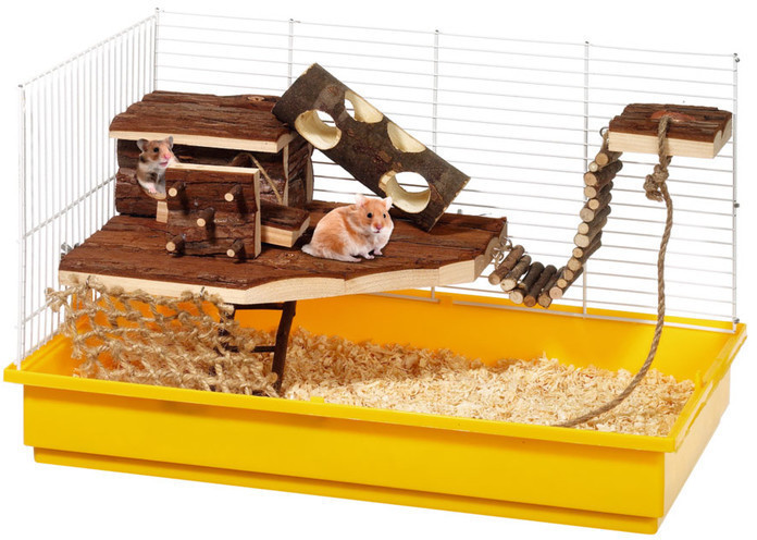 Karlie Rody Pirate Wonderland
