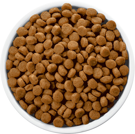 Hill's Croquettes pour chien 12 kg Hill's Croquettes pour chien 12 kg