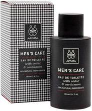 Apivita Men's Care Eau de Toilette (100 ml)