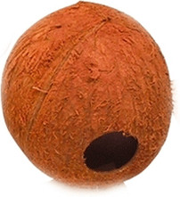 JBL Cocos Cava 1/1 L