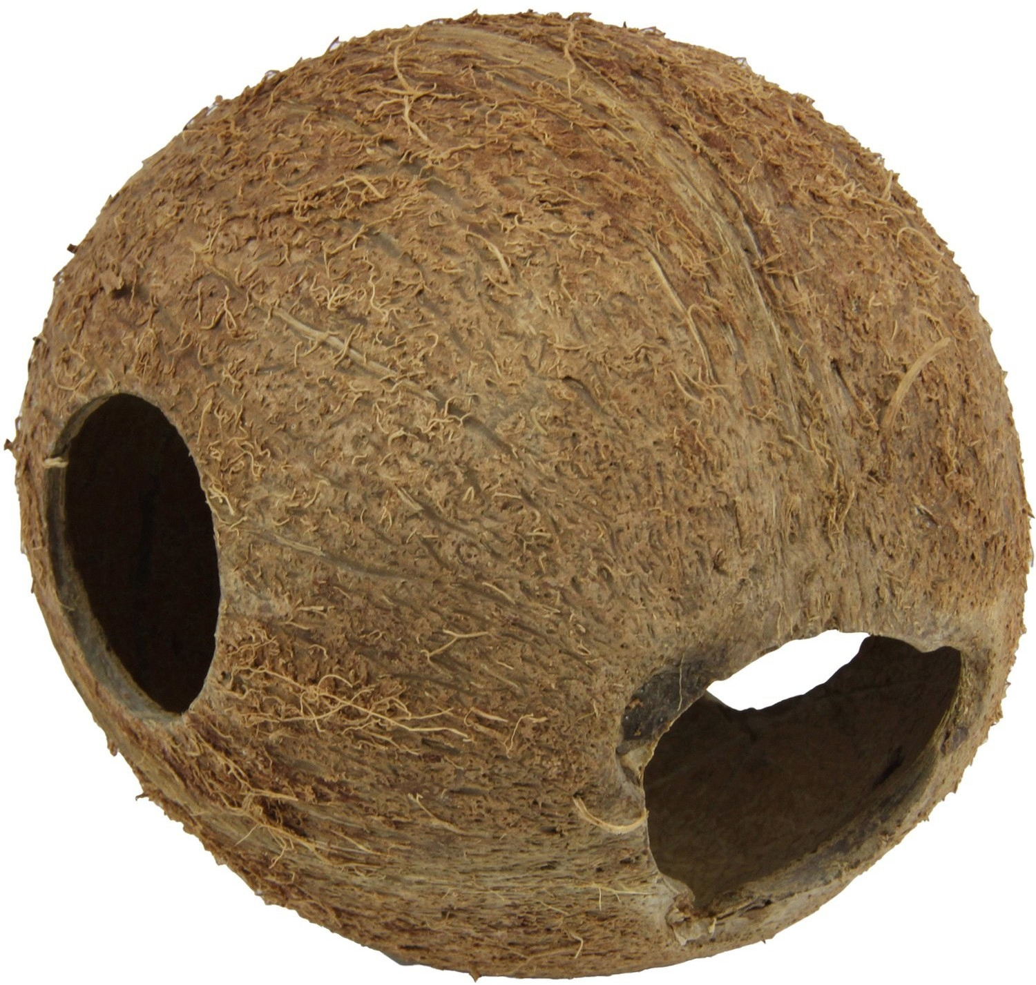 JBL Cocos Cava 1/1 M