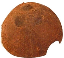 JBL Cocos Cava 1/2 L
