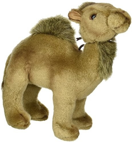 Anima Anima Studiotier - Dromedar 21 cm