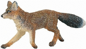 Safari Renard (273729)