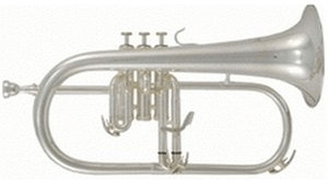 Roy Benson FH-302S