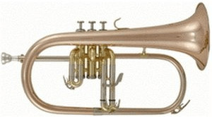 Roy Benson FH-302G