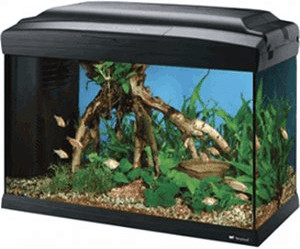 Ferplast Cayman 50 Professional