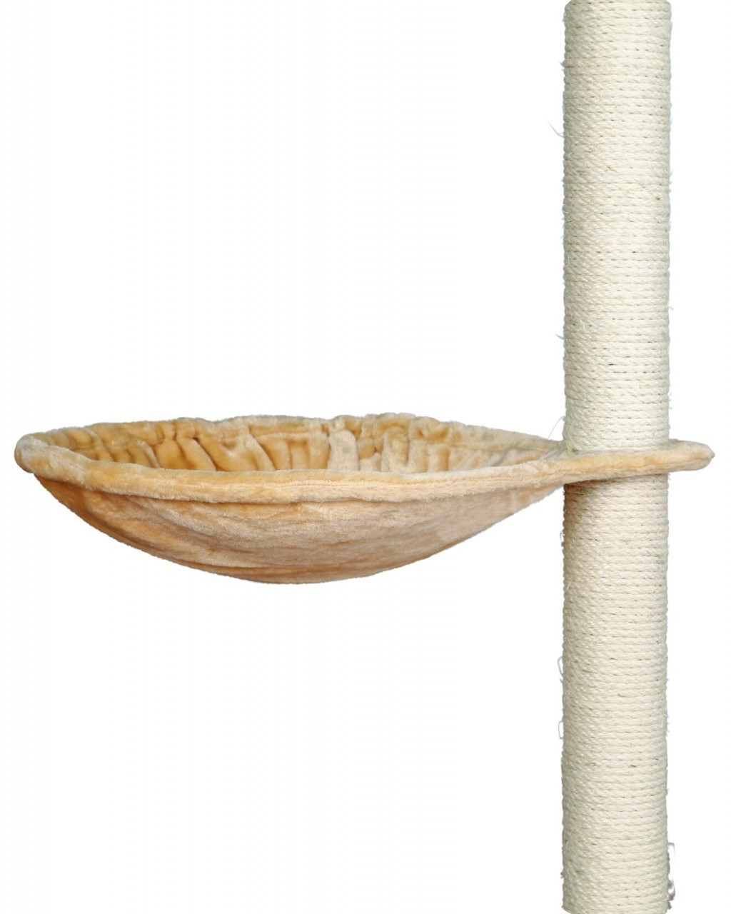 43981