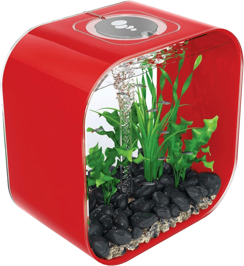 biOrb Life Square 30