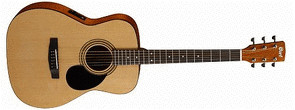 Cort AF 510 E