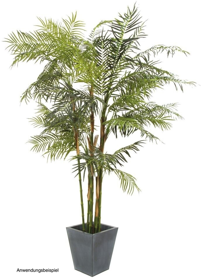 Europalms Cycus - 280 cm