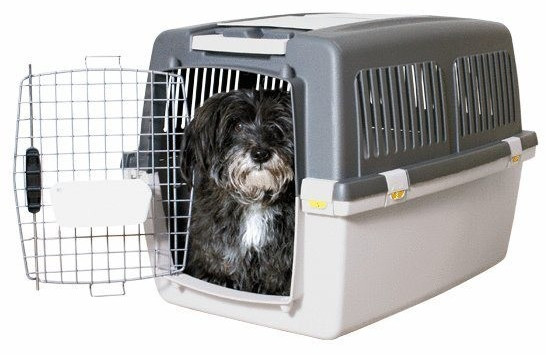 Cage de transport Trixie Gulliver pour chien et chat