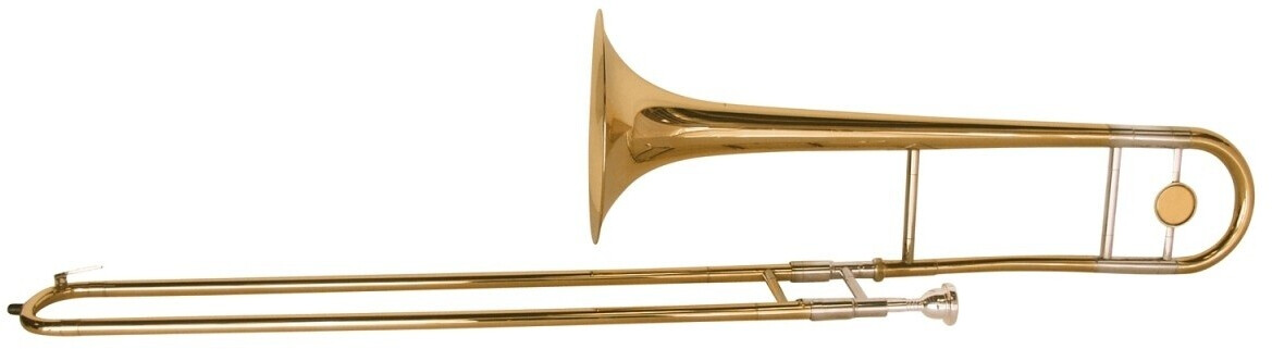 Dimavery TT-300