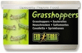 Exo Terra Grasshoppers 34 g