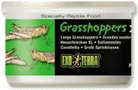 Exo Terra Grasshoppers XL 34 g