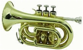 Dimavery TP-300