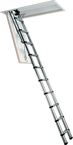 Telesteps 60927