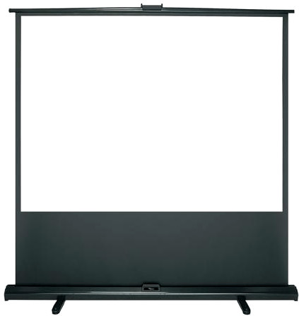 Optoma DP-3084MWL